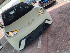 BYD Seagull Glory Edition 305km Vitality Version - ფოტო 4