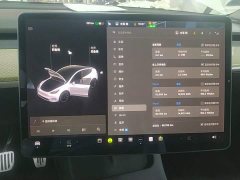 Tesla Model Y Long Range All-Wheel Drive - ფოტო 12