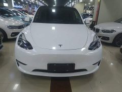 Tesla Model Y Long Range All-Wheel Drive - ფოტო 3