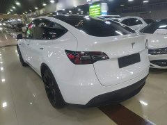 Tesla Model Y Long Range All-Wheel Drive - ფოტო 5