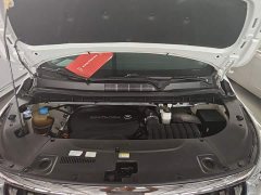GAC Aion M8 Master Series 390T Premium Edition - ფოტო 20