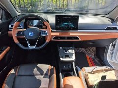 BYD e2 Luxury - ფოტო 10