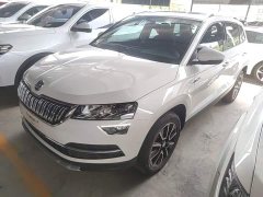 Skoda Karoq 2019 TSI280 Smart Elite Edition National V Emission Standard - ფოტო 2