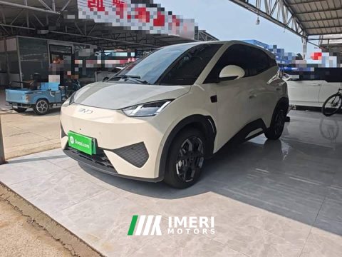 2025 BYD Seagull Smart Driving Edition 305km Freedom Edition - ავტომობილი ჩინეთიდან