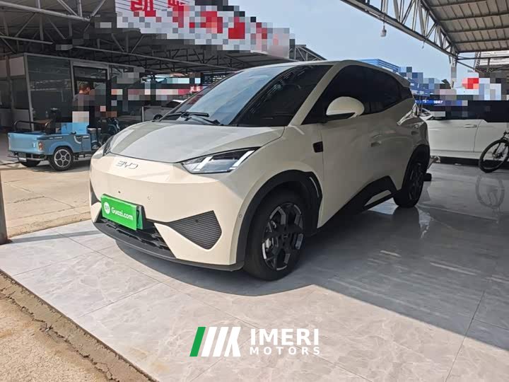 BYD Seagull Smart Driving Edition 305km Freedom Edition