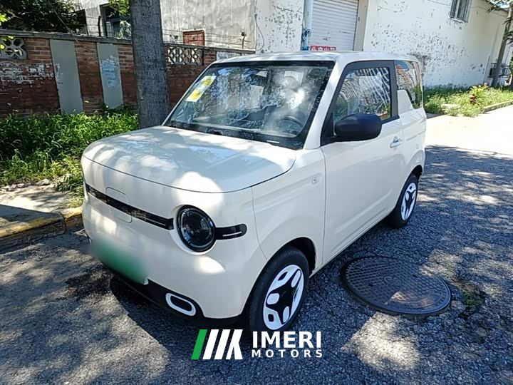Geely Panda Mini 210km Vitality Edition