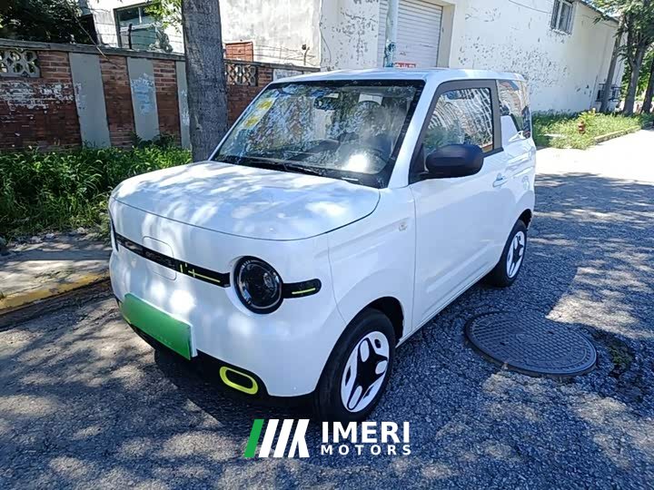 Geely Panda 2025 Panda Mini 210km Vitality Edition - ავტომობილი ჩინეთიდან