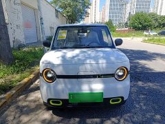 Geely Panda 2025 Panda Mini 210km Vitality Edition - ფოტო 3