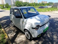 Geely Panda 2025 Panda Mini 210km Vitality Edition - ფოტო 4
