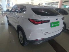 Changan Oushan X5 1.6L CVT Luxury - ფოტო 5