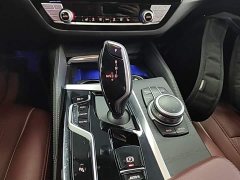 BMW 5 Series Facelift 530Li Premier M Sport Package - ფოტო 14