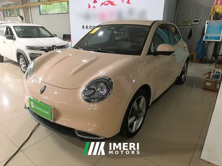 ORA Good Cat 2023 401km Standard Range Luxury LFP - ავტომობილი ჩინეთიდან