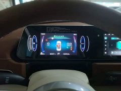 ORA Good Cat 2023 401km Standard Range Luxury LFP - ფოტო 12