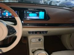 ORA Good Cat 2023 401km Standard Range Luxury LFP - ფოტო 13