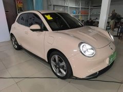 ORA Good Cat 2023 401km Standard Range Luxury LFP - ფოტო 4