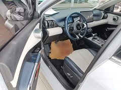 BYD Yuan Plus 2022 510KM Flagship - ფოტო 16