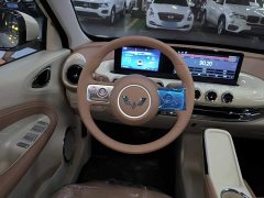 Wuling Binguo 2025 333km Joy Edition - ფოტო 11