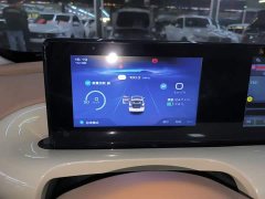 Wuling Binguo 2025 333km Joy Edition - ფოტო 12