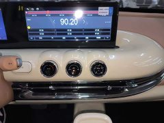 Wuling Binguo 2025 333km Joy Edition - ფოტო 13