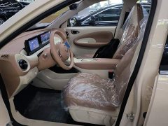Wuling Binguo 2025 333km Joy Edition - ფოტო 15