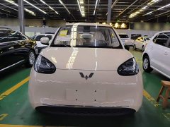 Wuling Binguo 2025 333km Joy Edition - ფოტო 3