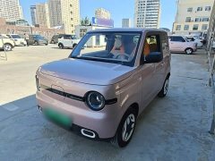 Geely Panda Mini 210km Vitality Edition - ფოტო 1