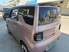 Geely Panda Mini 210km Vitality Edition - ფოტო 5