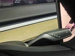 Tesla Model Y Facelift Rear-Wheel Drive - ფოტო 14