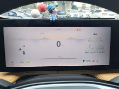 SAIC MG RX5 New Energy 2023 eRX5 Super Hybrid Premium Edition - ფოტო 12