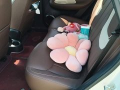 Wuling Binguo 333km Lingxi Connected Plus - ფოტო 17