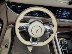 Voyah Lantu FREE 2021 Four-Wheel Drive Standard Extended Range Exclusive Luxury Package - ფოტო 11