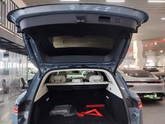 Voyah Lantu FREE 2021 Four-Wheel Drive Standard Extended Range Exclusive Luxury Package - ფოტო 19