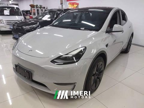 2022 Tesla Model Y 2021 Standard Range RWD - ავტომობილი ჩინეთიდან