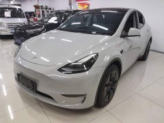 Tesla Model Y 2021 Standard Range RWD - ფოტო 2