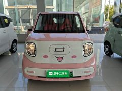FAW Besturn Xiaoma 222km Dynamic Edition - ფოტო 3