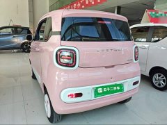FAW Besturn Xiaoma 222km Dynamic Edition - ფოტო 6