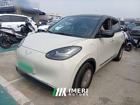 2024 Wuling Binguo 333km Joy Edition - ავტომობილი ჩინეთიდან