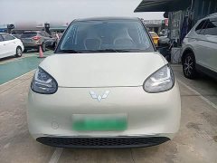 Wuling Binguo 333km Joy Edition - ფოტო 3
