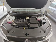 BYD Qin PLUS DM-i Smart Drive Edition 55KM Leading - ფოტო 20