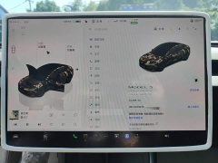 Tesla Model 3 2023 Long Range All-Wheel Drive - ფოტო 12