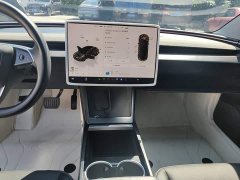 Tesla Model 3 2023 Long Range All-Wheel Drive - ფოტო 13