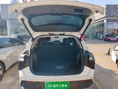 FAW Red Flag HS3 PHEV 117km Dynamic Edition - ფოტო 19
