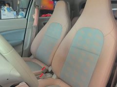 Leapmotor T03 310 Comfort Edition - ფოტო 15