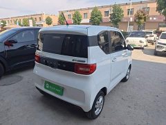 Wuling Hongguang MINIEV Zizai Edition LFP Battery - ფოტო 7