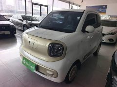 FAW Besturn Xiaoma 170km Vitality Edition - ფოტო 1