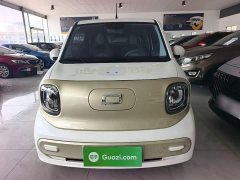 FAW Besturn Xiaoma 170km Vitality Edition - ფოტო 3