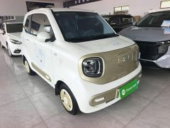 FAW Besturn Xiaoma 170km Vitality Edition - ფოტო 4