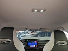 BYD Destroyer 05 Glory Edition DM-i 120KM Luxury - ფოტო 18