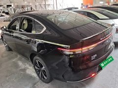 BYD Destroyer 05 Glory Edition DM-i 120KM Luxury - ფოტო 6