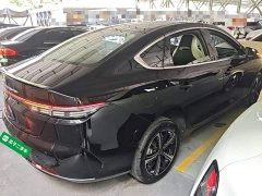 BYD Destroyer 05 Glory Edition DM-i 120KM Luxury - ფოტო 7